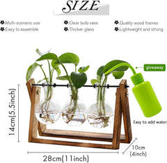 Plant Terrarium with Wooden Stand, Air Planter Bulb Glass Vase Metal Swivel Holder Retro Tabletop for Hydroponics Home Garden Office Decoration - 3 Bulb Vase(no plants)