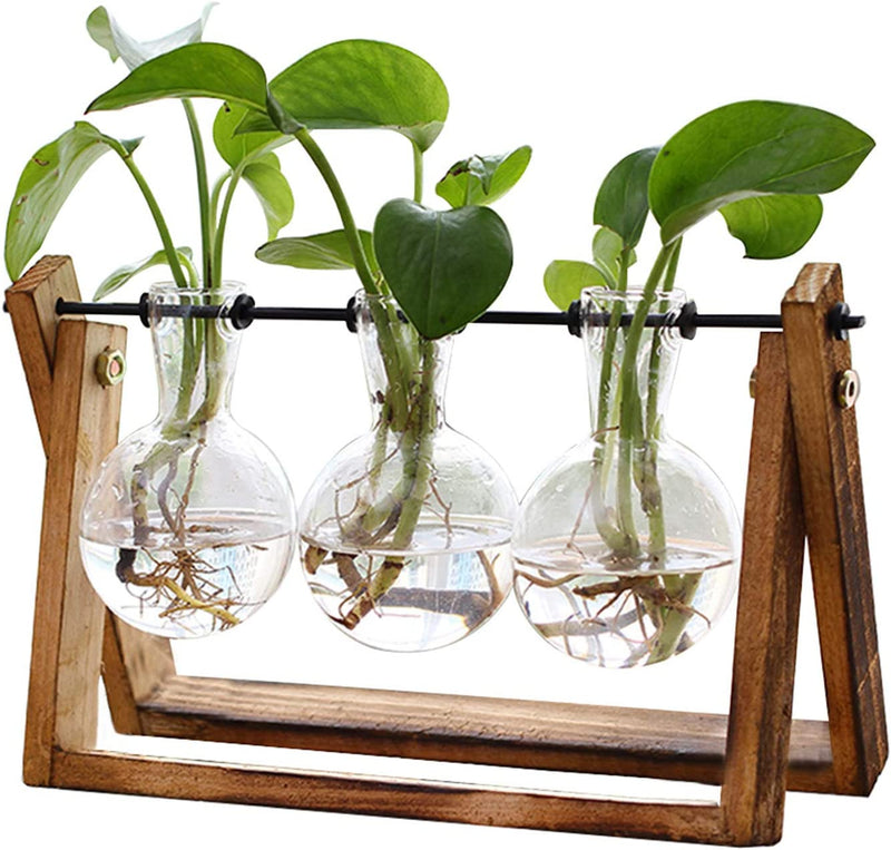 Plant Terrarium with Wooden Stand, Air Planter Bulb Glass Vase Metal Swivel Holder Retro Tabletop for Hydroponics Home Garden Office Decoration - 3 Bulb Vase(no plants)