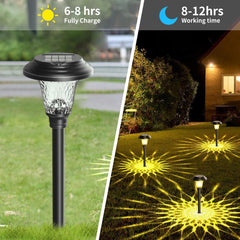 Beau Jardin 8 Pack Solar Pathway Lights Color Changing + Bright White Outdoor Garden Stake Glass LED Stainless Steel IP65 Waterproof Landscape Path Lighting For Yard Walkway Driveway outside black